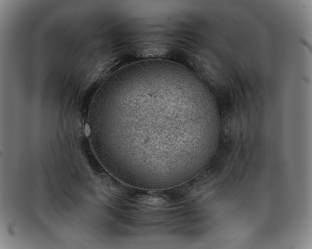 X0000097660743200803071531