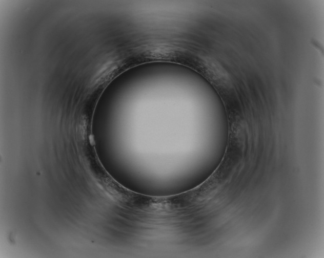 X0000097660744200803071532