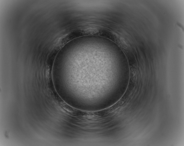 X0000097660745200803071532