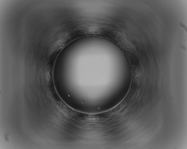 X0000097660746200803071532