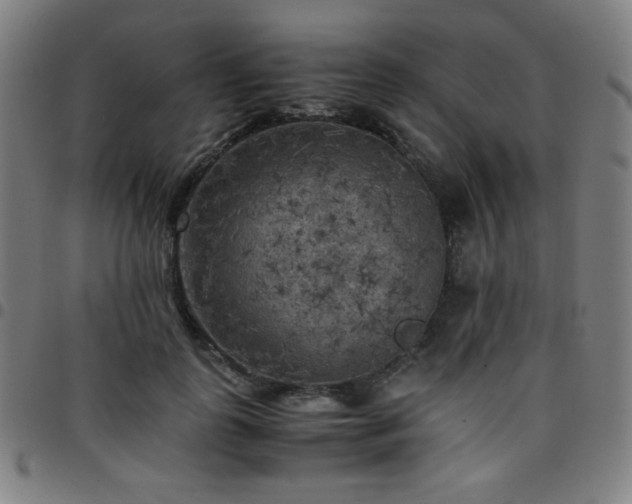 X0000097660747200803071532
