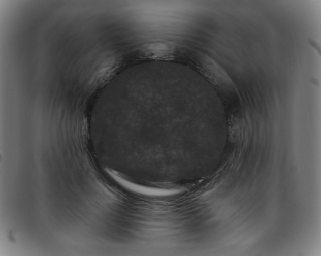 X0000097660748200803071532