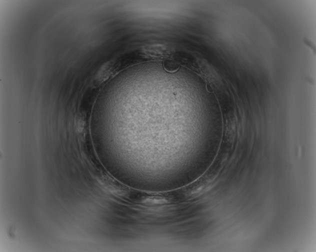 X0000097660749200803071532