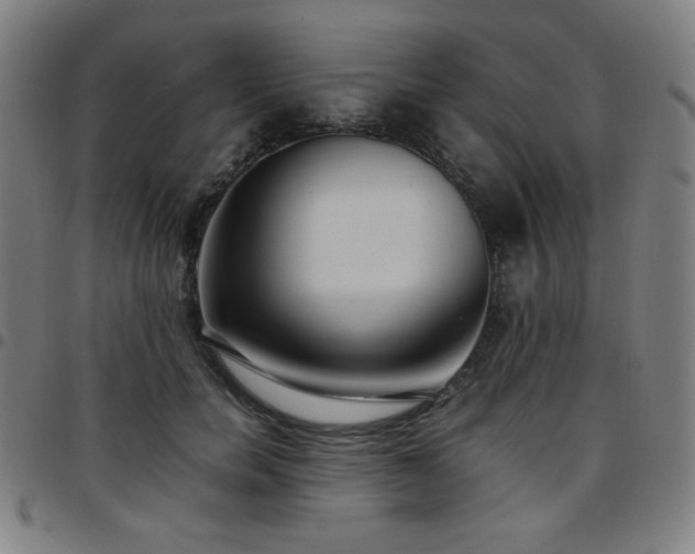 X0000097660750200803071532