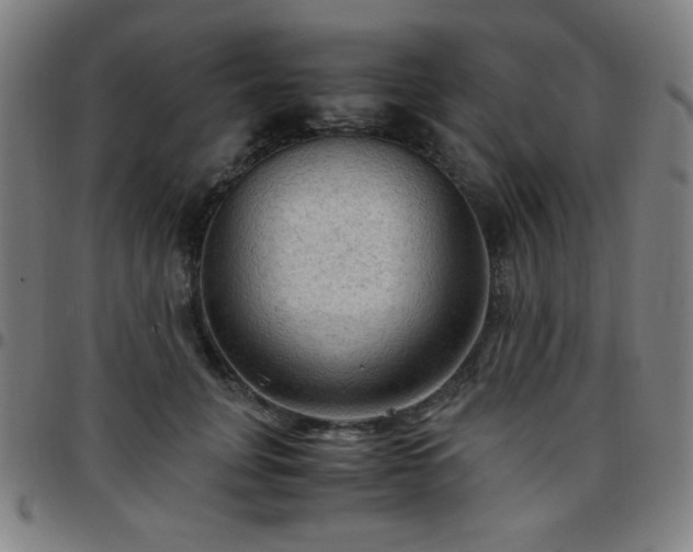 X0000097660751200803071532
