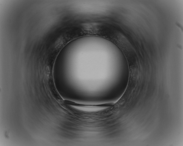 X0000097660752200803071532