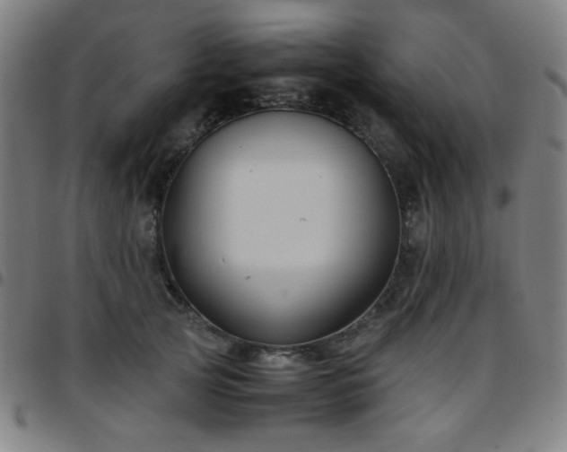 X0000097660753200803071532