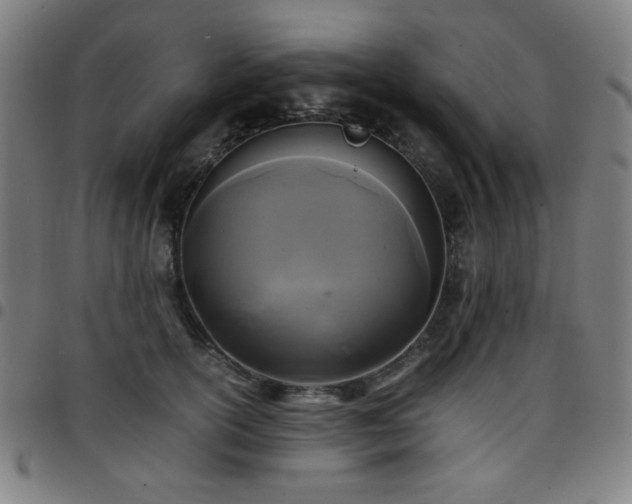 X0000097660754200803071532