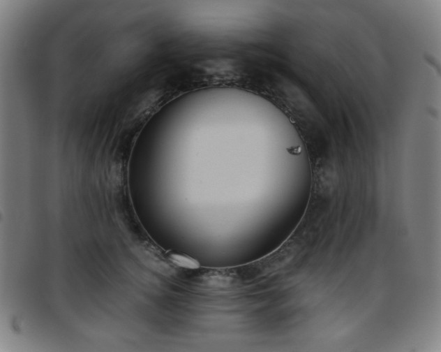 X0000097660756200803071532