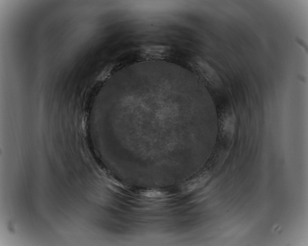 X0000097660759200803071532
