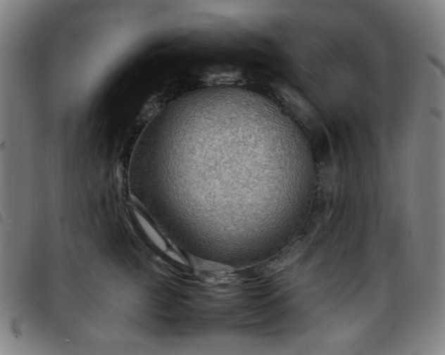 X0000097660761200803071532