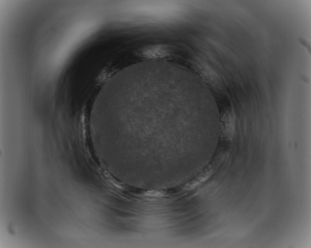 X0000097660762200803071532