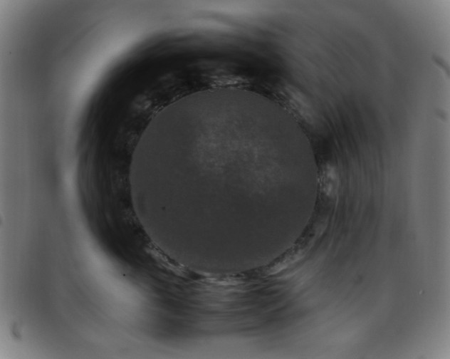 X0000097660763200803071532