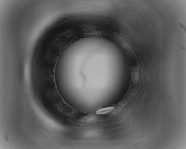 X0000097660764200803071532