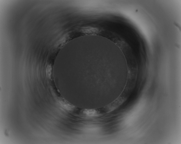 X0000097660767200803071532