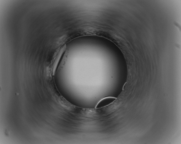 X0000097660768200803071532