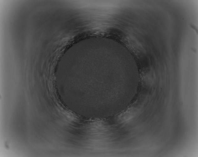 X0000097660769200803071531