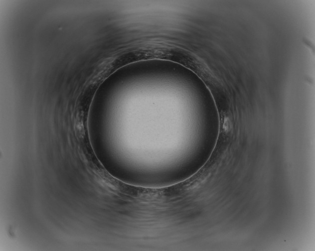X0000097660771200803071531