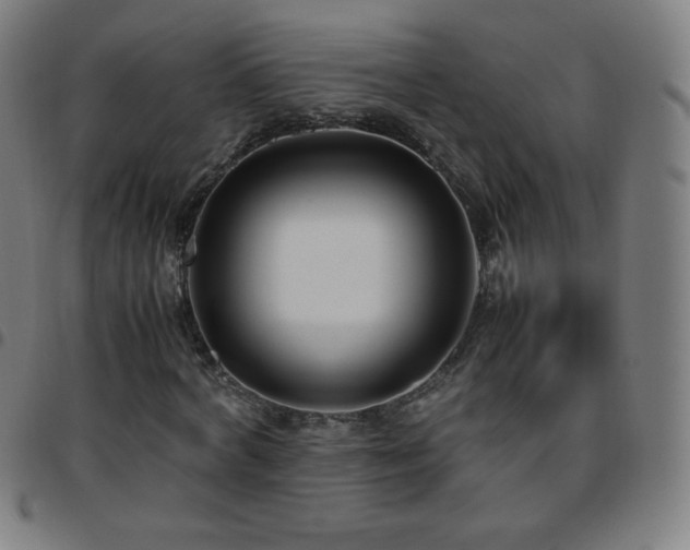 X0000097660772200803071531