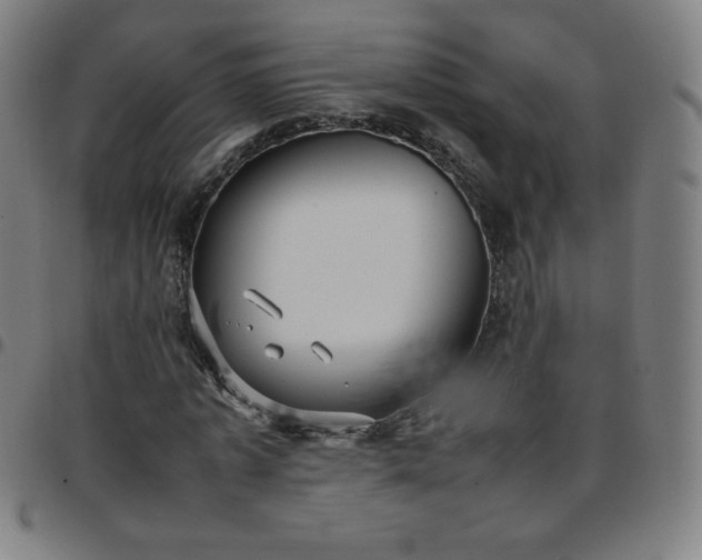 X0000097660773200803071531