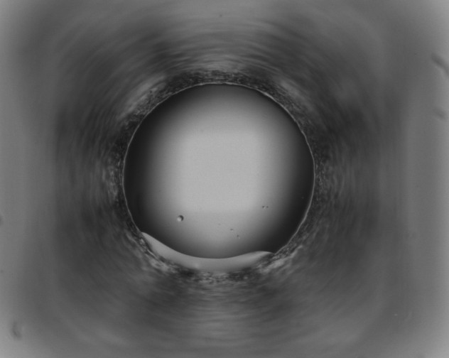 X0000097660774200803071531