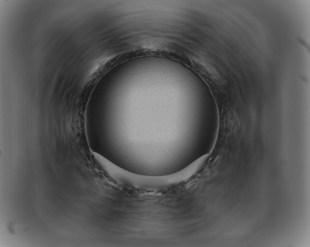 X0000097660776200803071531