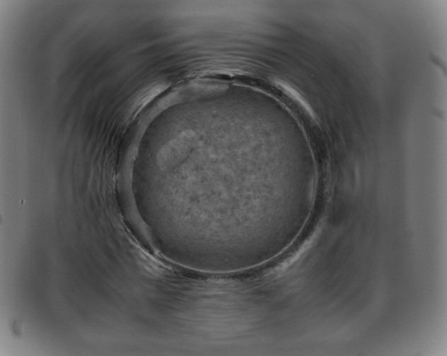 X0000097660777200803071531