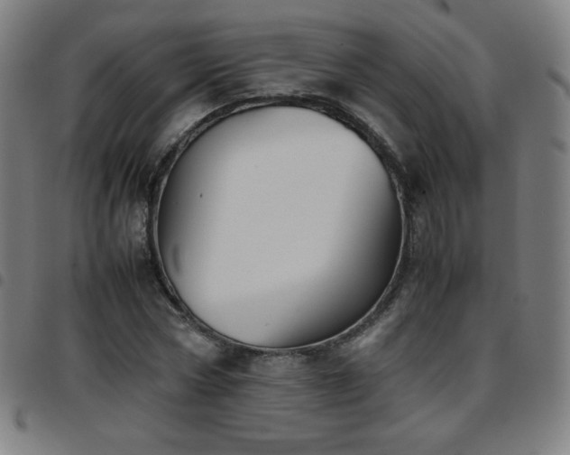 X0000097660778200803071531
