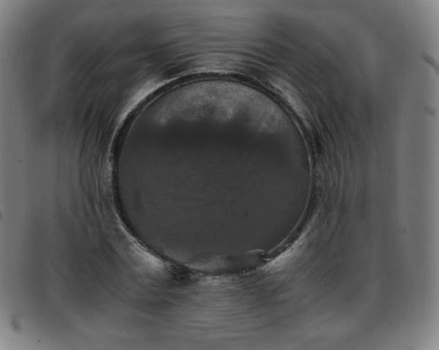 X0000097660779200803071531