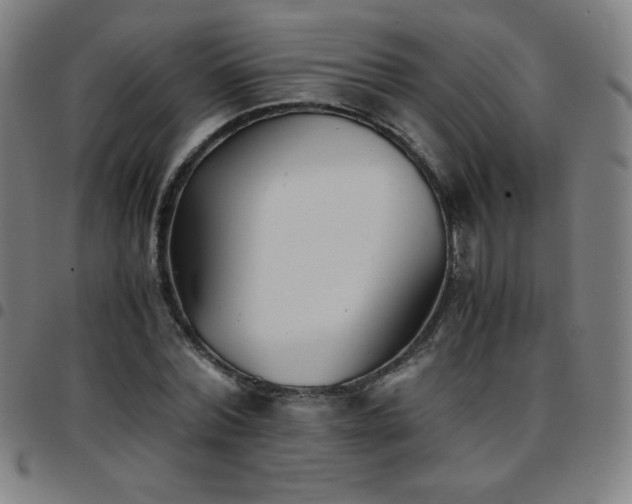X0000097660780200803071531