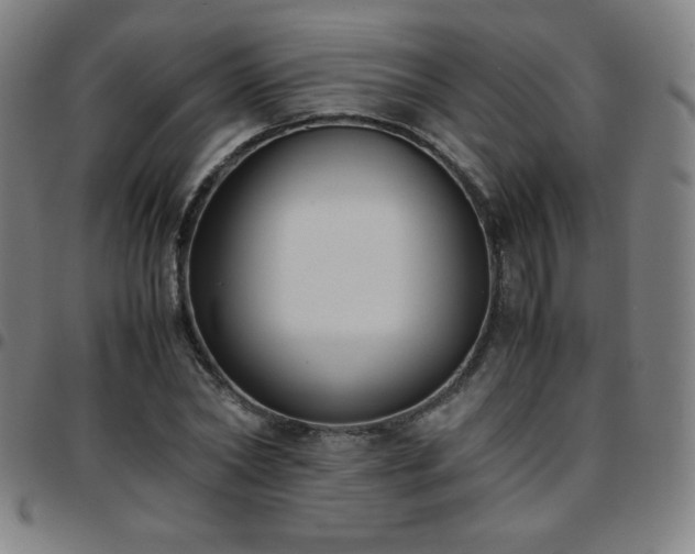 X0000097660782200803071531