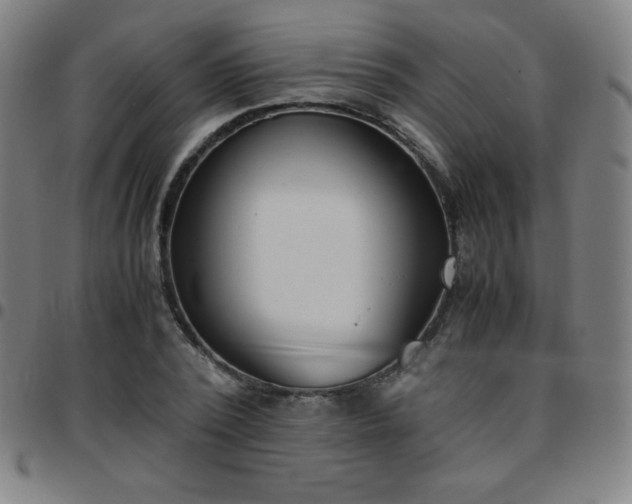 X0000097660784200803071531