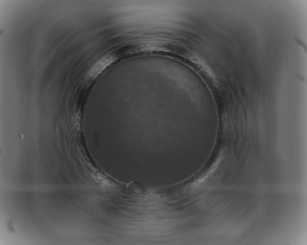 X0000097660785200803071531