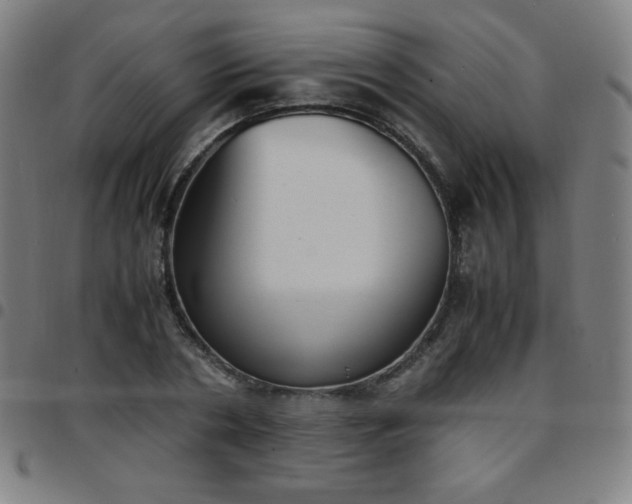 X0000097660786200803071531