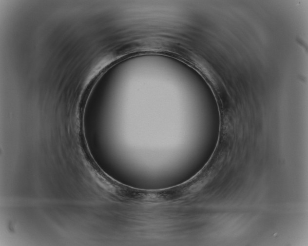 X0000097660787200803071531