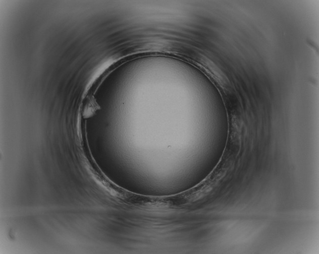 X0000097660788200803071531