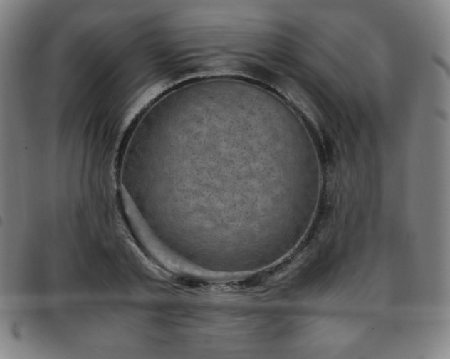 X0000097660789200803071531
