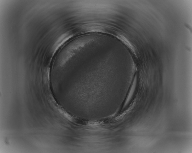 X0000097660790200803071531