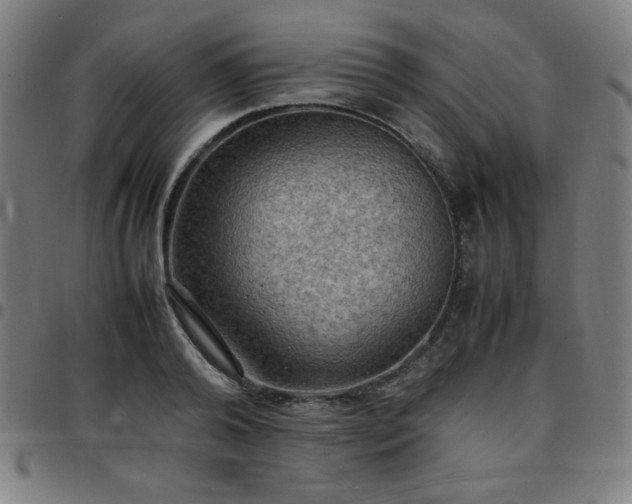 X0000097660792200803071531