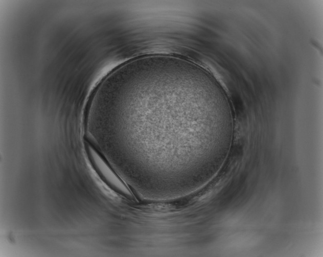 X0000097660795200803071531
