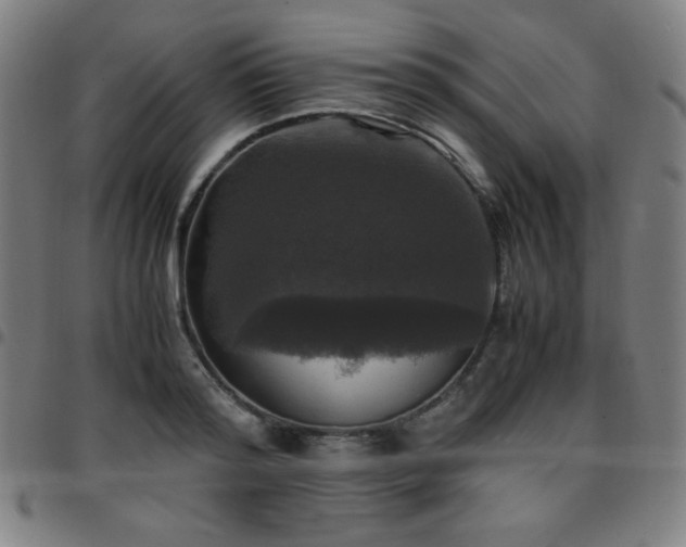 X0000097660796200803071531