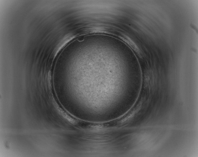 X0000097660798200803071531
