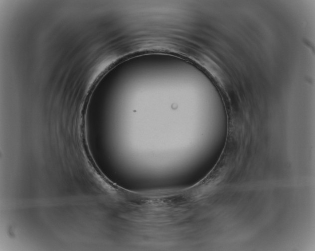 X0000097660799200803071531