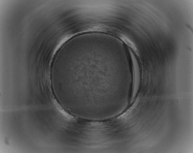 X0000097660800200803071531
