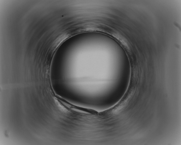 X0000097660801200803071531