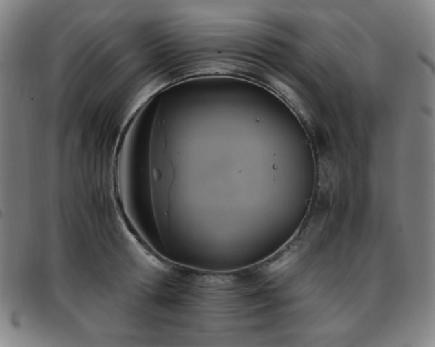 X0000097660802200803071531