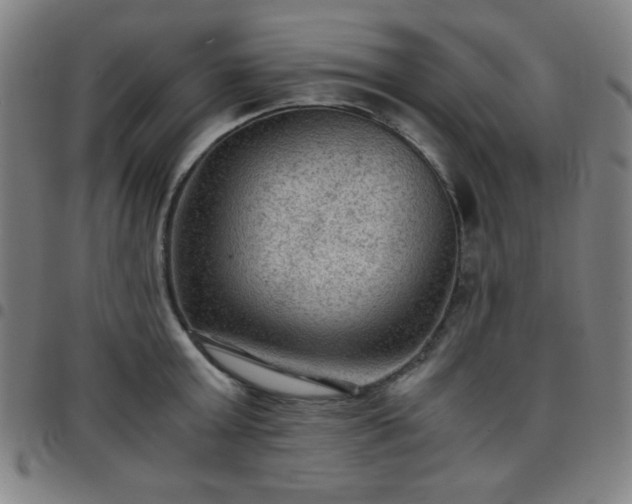 X0000097660803200803071531