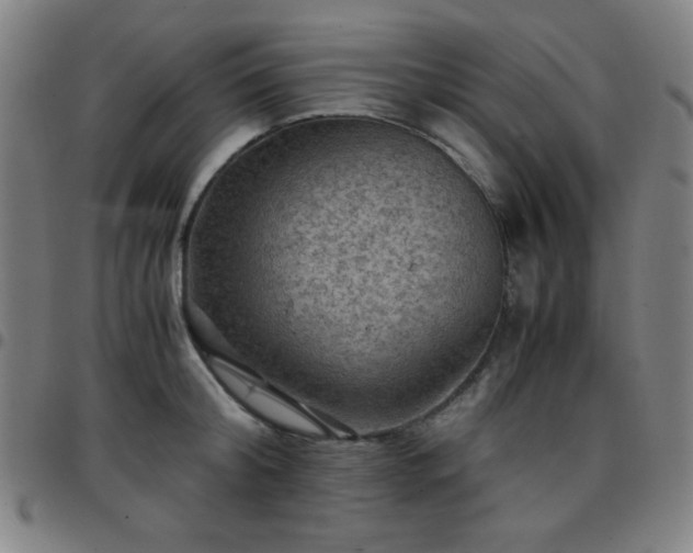 X0000097660804200803071531