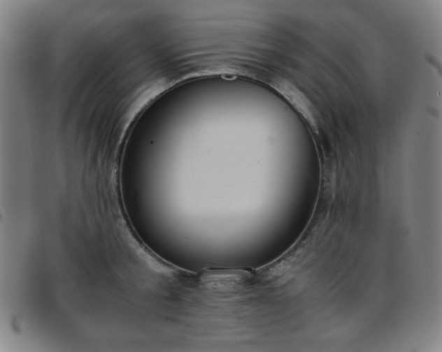 X0000097660805200803071531