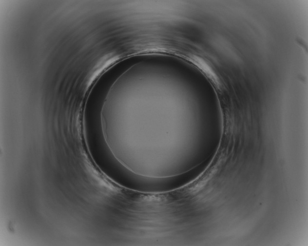 X0000097660806200803071531
